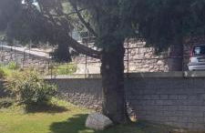 Casa vacanze Perla del Lago - Foto 43