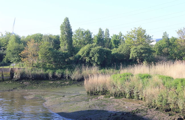 Luxurious 2-bed Haven in the Heart of Barking - Foto 29