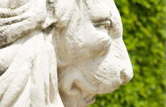 MAS DES VIGNES - View Cité de Carcassonne - Foto 16