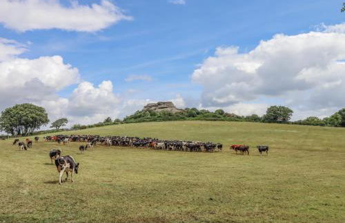 The Coach House at Thorn Farm - Foto 41