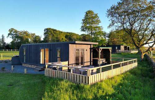 Green Law - Dog Friendly - Foto 1