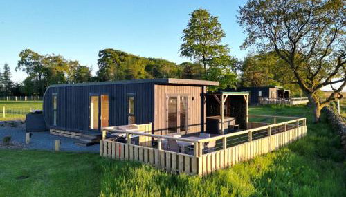 Green Law - Dog Friendly - Foto 1