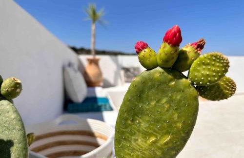 Villa Xanthippe - Foto 12