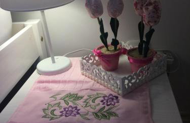 serenidade em canela - Foto 4