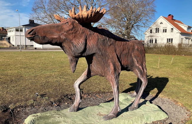 Snickaren Vandrarhem Own apartments - Foto 18