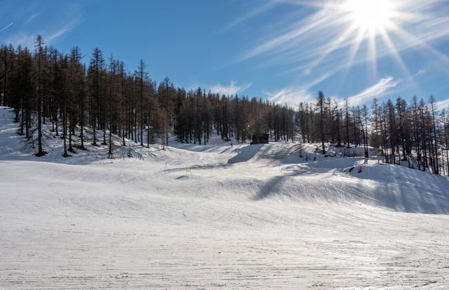 Jouvenceaux - Photo 38