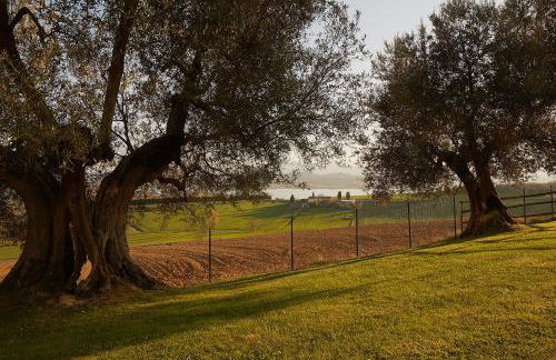 Podere Fontegallo - Photo 61