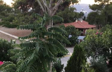 VILLA EIRINI - Foto 14