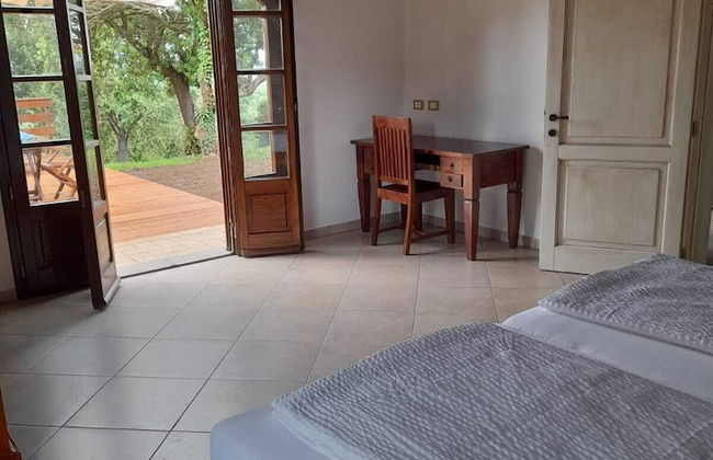 Tenuta di Seripa - Foto 30