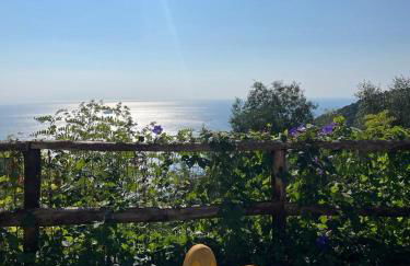 Amalfi Coast - Mini Cottage vista mare con giardino - Foto 5