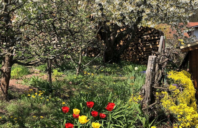 Ferienwohnungen Ries - Foto 39