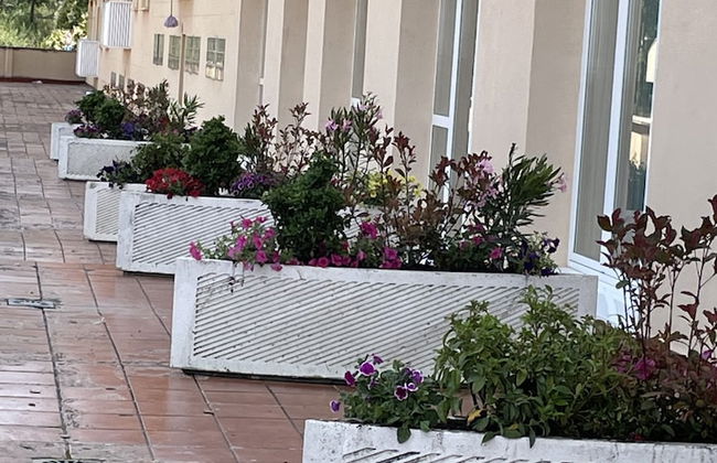 Apartamentos Aljama - Foto 11