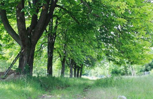 Bett im Bahnhof Waldblick kein Junggesellenabschied oä - Foto 22