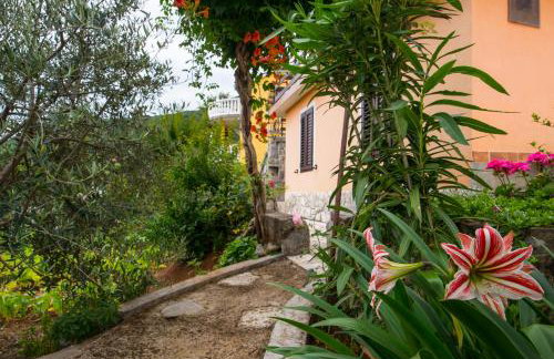 Apartment Alba - Photo 23