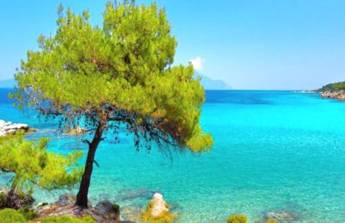 Gousios Apartments - Foto 25