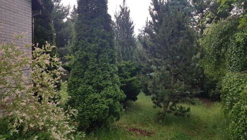 Domek na wsi - Foto 3, Garden