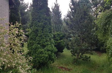 Domek na wsi - Foto 3