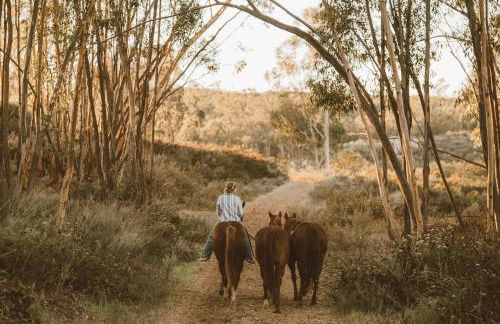 San Diego Trail Guest Ranch - Foto 1
