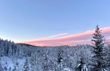 Mountain house Beauty of Laz - Foto 63