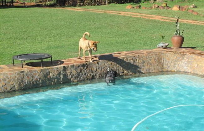 Caracal Lodge - Foto 22