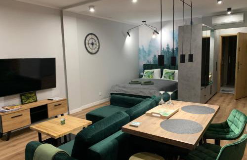 Marina Green Loft-Apartament przy promenadzie - Foto 7