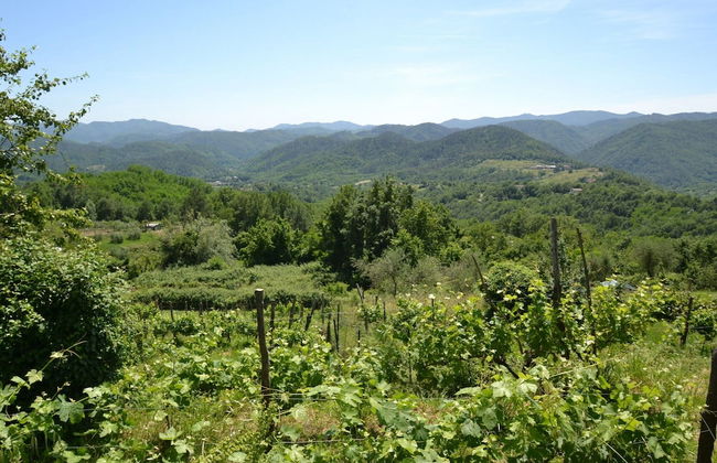 Belvilla by OYO Angie - Foto 27