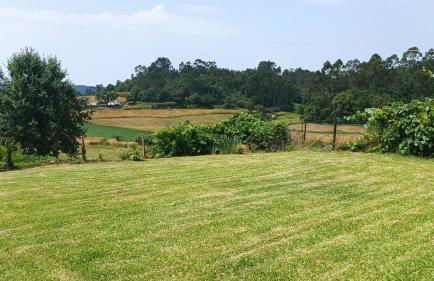 Casa de Penim - Foto 39