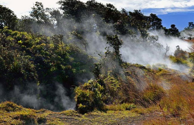 Volcanoes National Park Hiking Tour - Photo 6