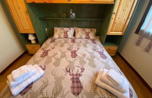 Residenze Ca del bosco Tremol fronte piste - Foto 2