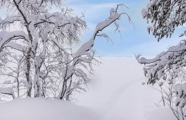 Lappi dream house - Foto 33