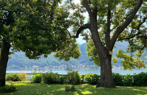 Ville Lago Lugano - Photo 42