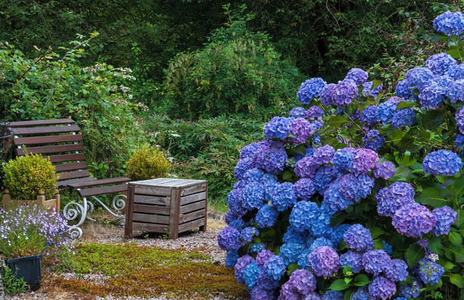 Killean Farmhouse Cottages - Photo 70