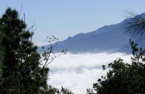 Villas Las Cercas - Photo 78