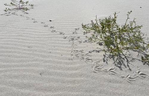 BiałogóraChill 11C Całoroczne Spa i Active - Foto 28