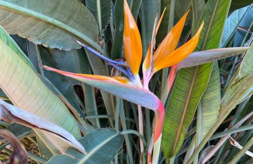 Seaside home - Foto 31