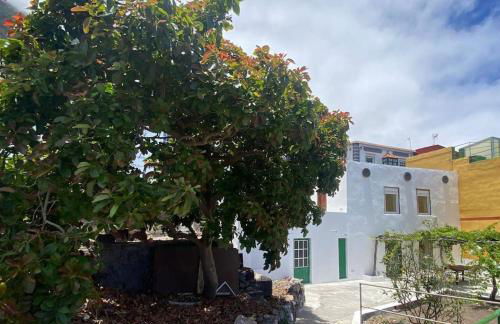 La Casa del Aguacate - Foto 11