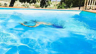 Lagarto Pintado Casa n'Aldeia - Foto 3