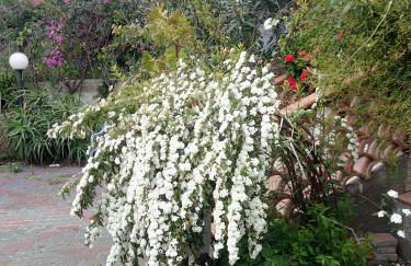 La Casa Dell'antiquario - Foto 30