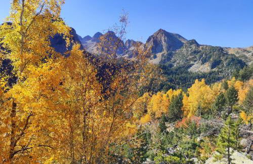 Bassiero Apartament - Photo 32