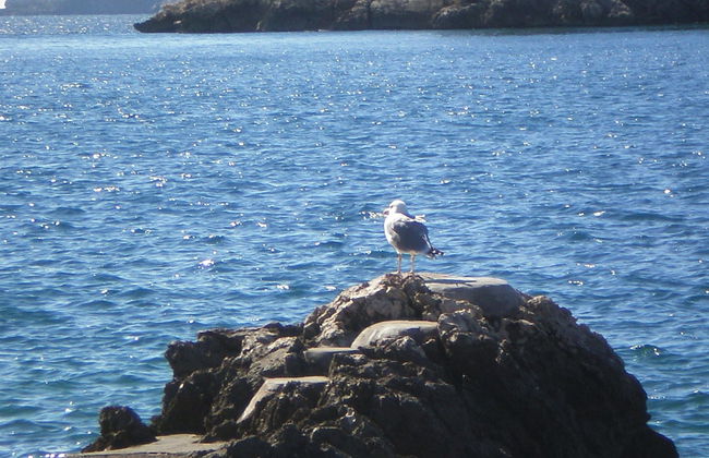 Villa Doris - Foto 67