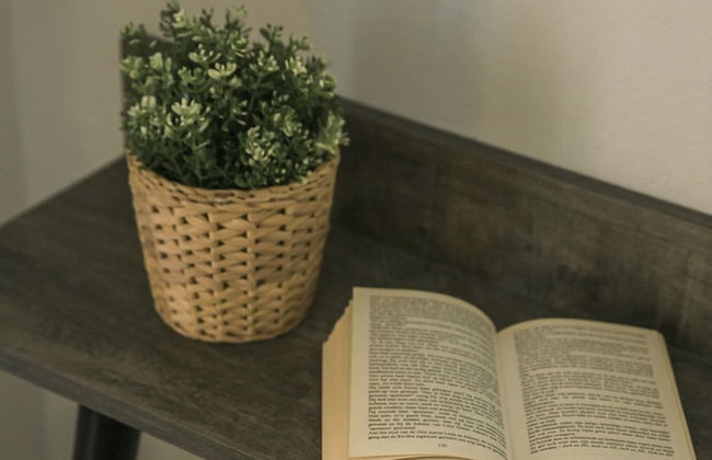 Emily Villas - Foto 19