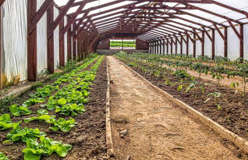 Lovely Home In Gubin With Sauna - Foto 9