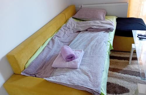 Apartmani Ani - Foto 21