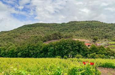 Casa Grande do Seixo - Foto 9