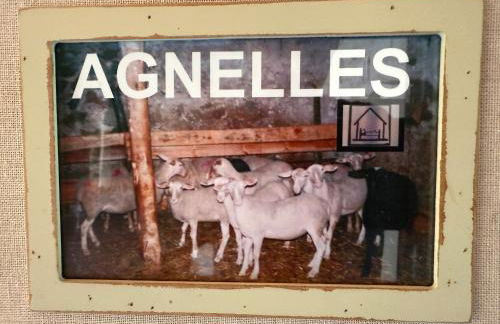 Gîte L'ESTAOU, 3 épis, 15 pers, 18 couchages - Ancienne ferme rénovée - Label Ecogîte - Foto 16