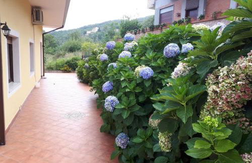 La Casa Dei Colori - Foto 6