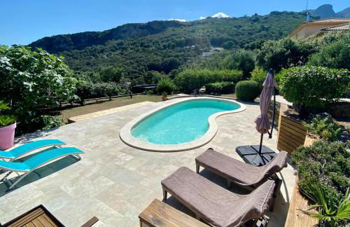 Bella Vita Brando - Foto 4