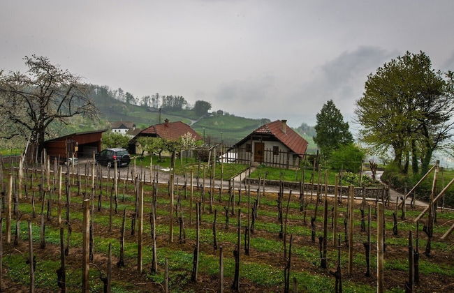 Vineyard Cottage Hocevar - Foto 15