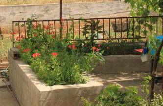 Apartments by the sea Tkon, Pasman - 8218 - Foto 11