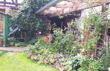 Ältestes Haus in Quentel - Ferienwohnung 2 mit Dachterrasse - Foto 16